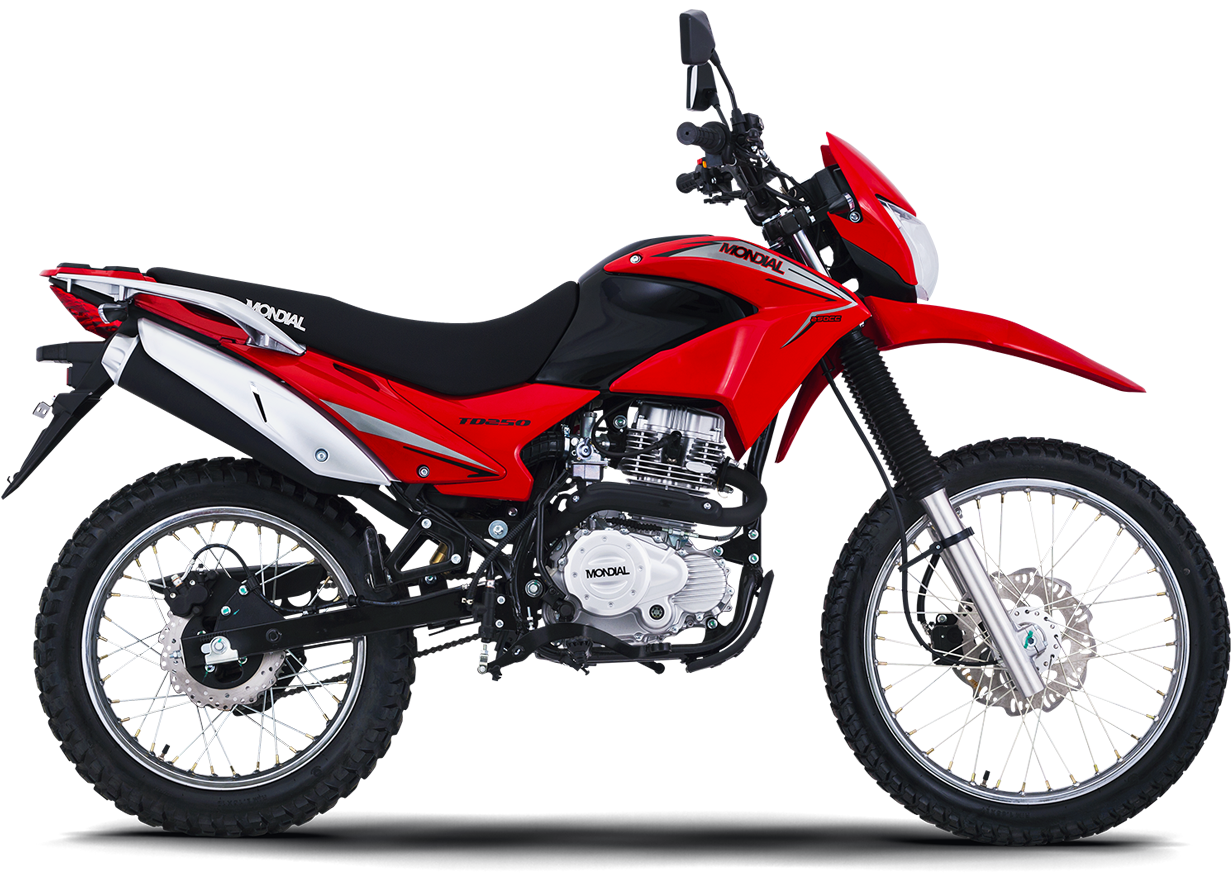 Mondial TD 250 RD - vista 3