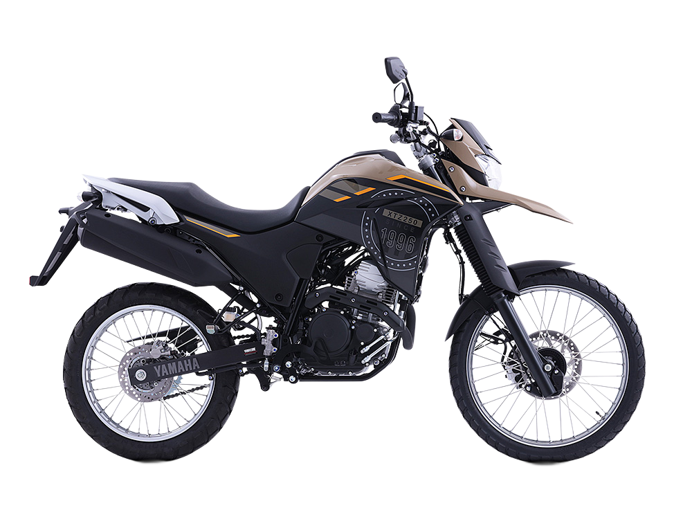 Yamaha XTZ 250 ABS - vista 3