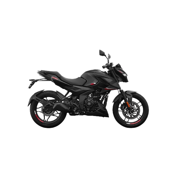 Bajaj Rouser N250 - vista 3